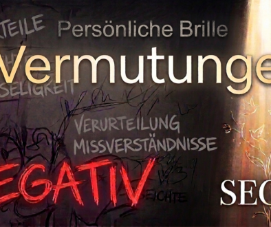 WSG_IaG_08_Vermutungen_YT-Bild